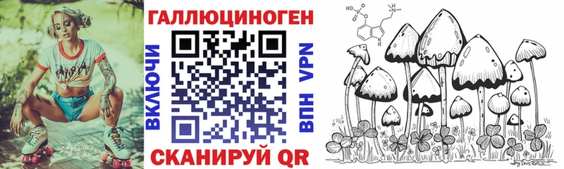 Псилоцибиновые грибы Psilocybine cubensis  Болгар 